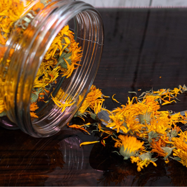 Calendula - Fleurs séchées