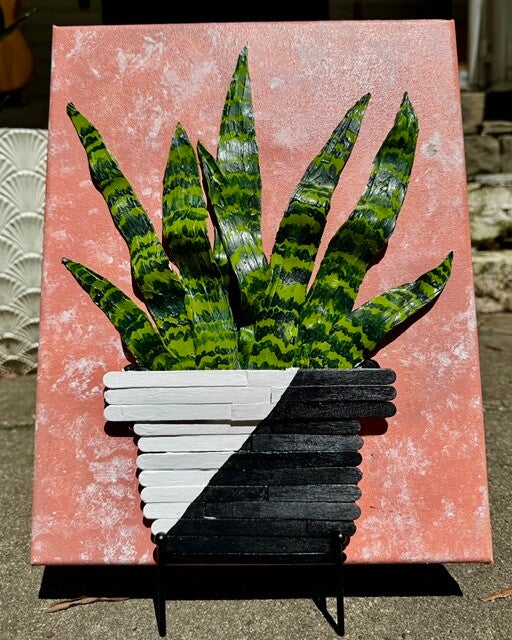 Snake Plant
