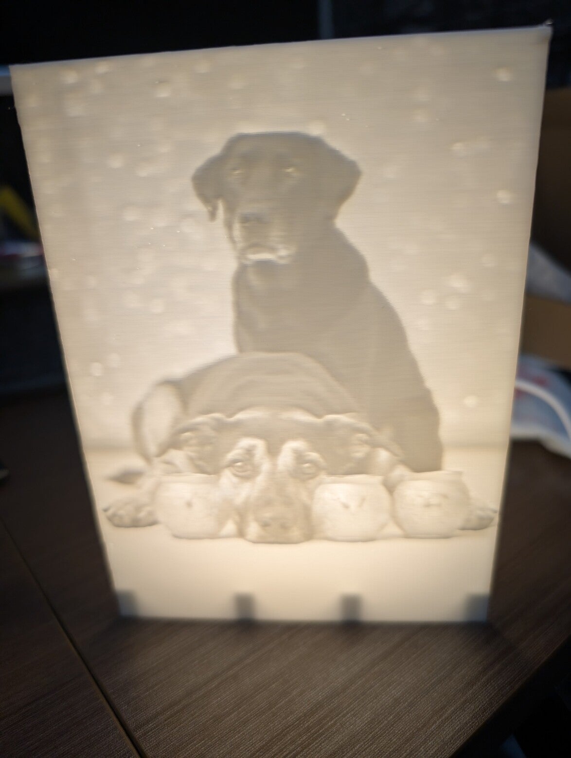 3D-Druck Personalisiertes Lithophan Bild