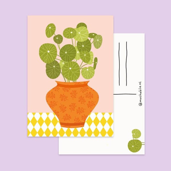 Ansichtkaart - Pannenkoekenplant