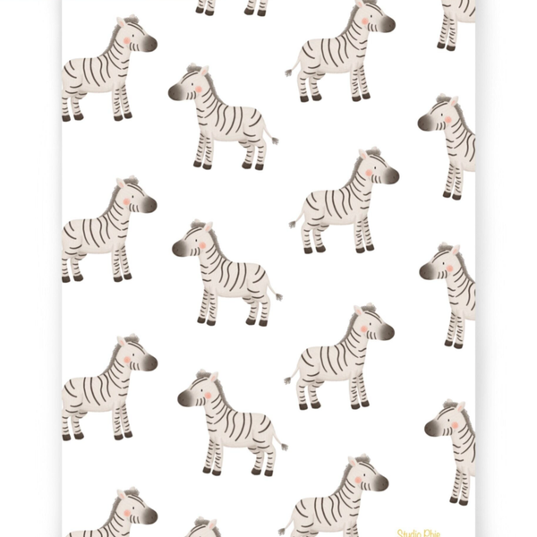 Ansichtkaart - Zebra's