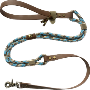 Laisse biothane camel et corde tricolore assortie au collier