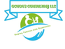 ochoasconsultingllc.com