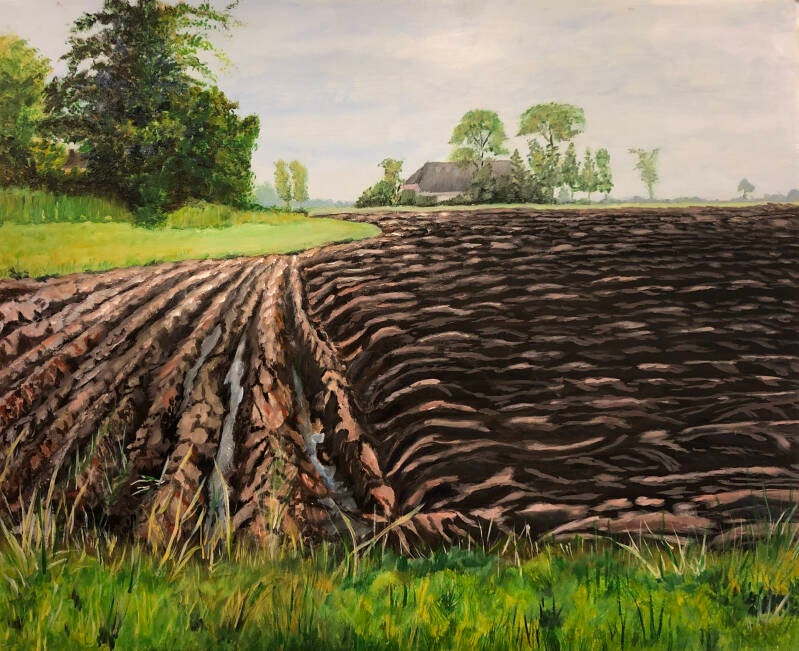 geploegd-veld-standard.jpg