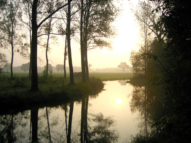 landschap-982-standard.jpg