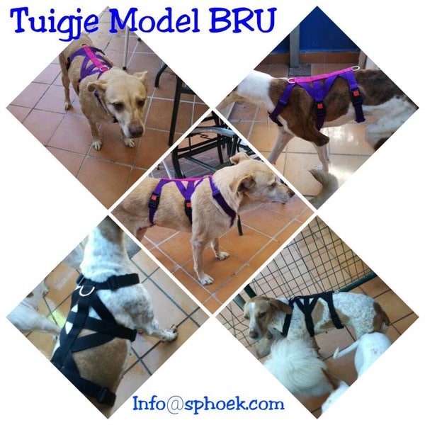 Model Bru