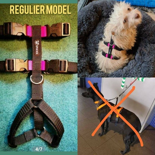 Klassiek model