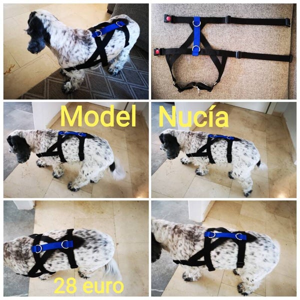 Model La Nucia