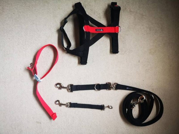 4 delig volledig Anti escape set