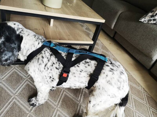 Veiligheidstuig Bru - anti trek