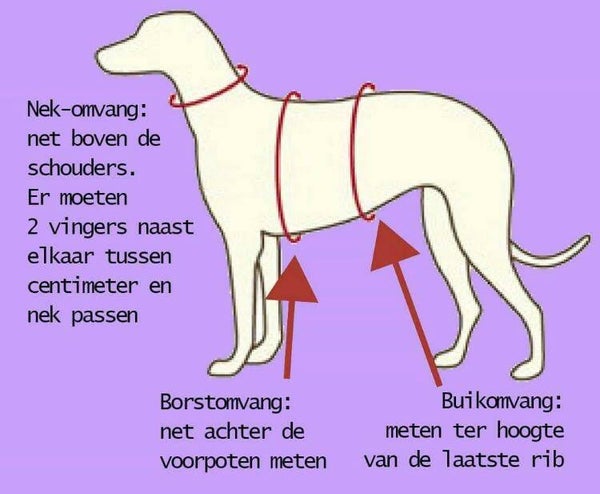 Veiligheidstuigen