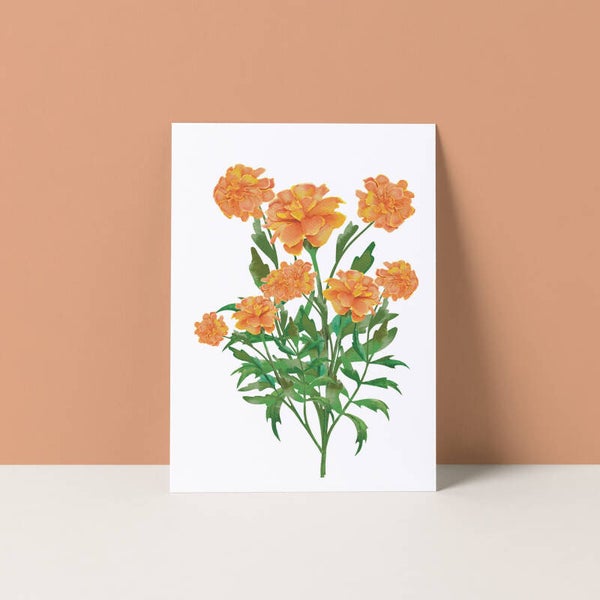 Ansichtkaart "Goudsbloemen"