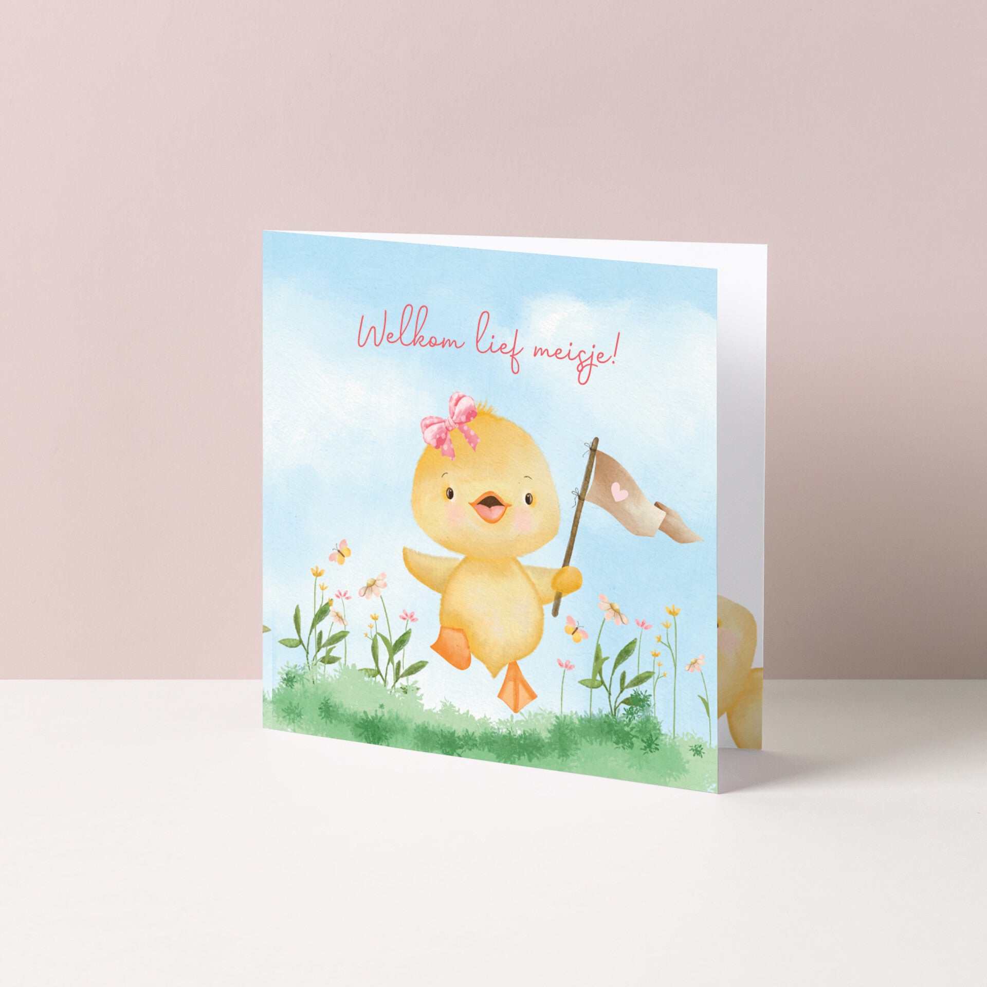 Wenskaart "Welkom lief meisje (eendje)"