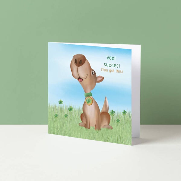 Wenskaart "Veel succes (You got this)"