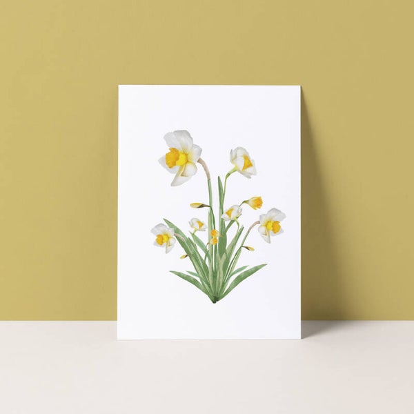 Ansichtkaart "Narcissen"