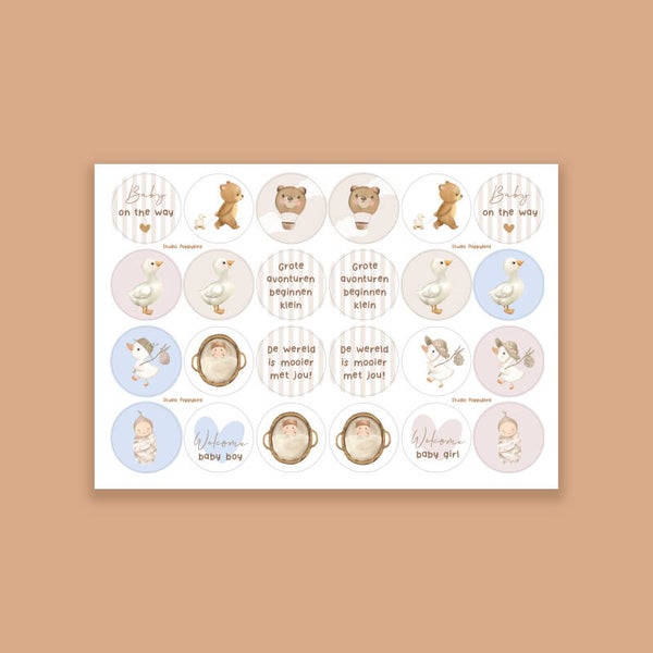 Stickervel "Geboorte"