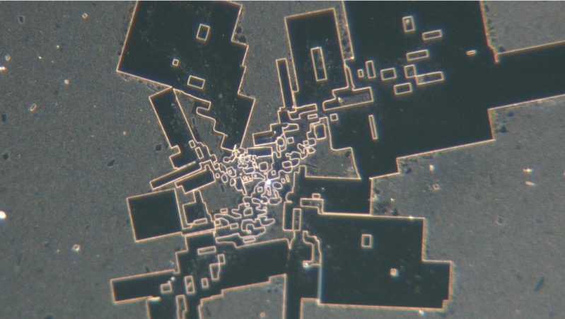 Φωτό από την ανάλυση μικροσκοπίου της Pfizer