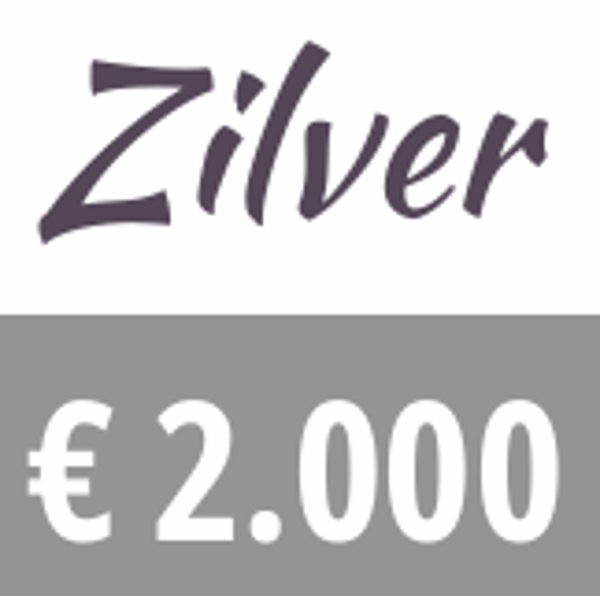 Sponsor Zilver