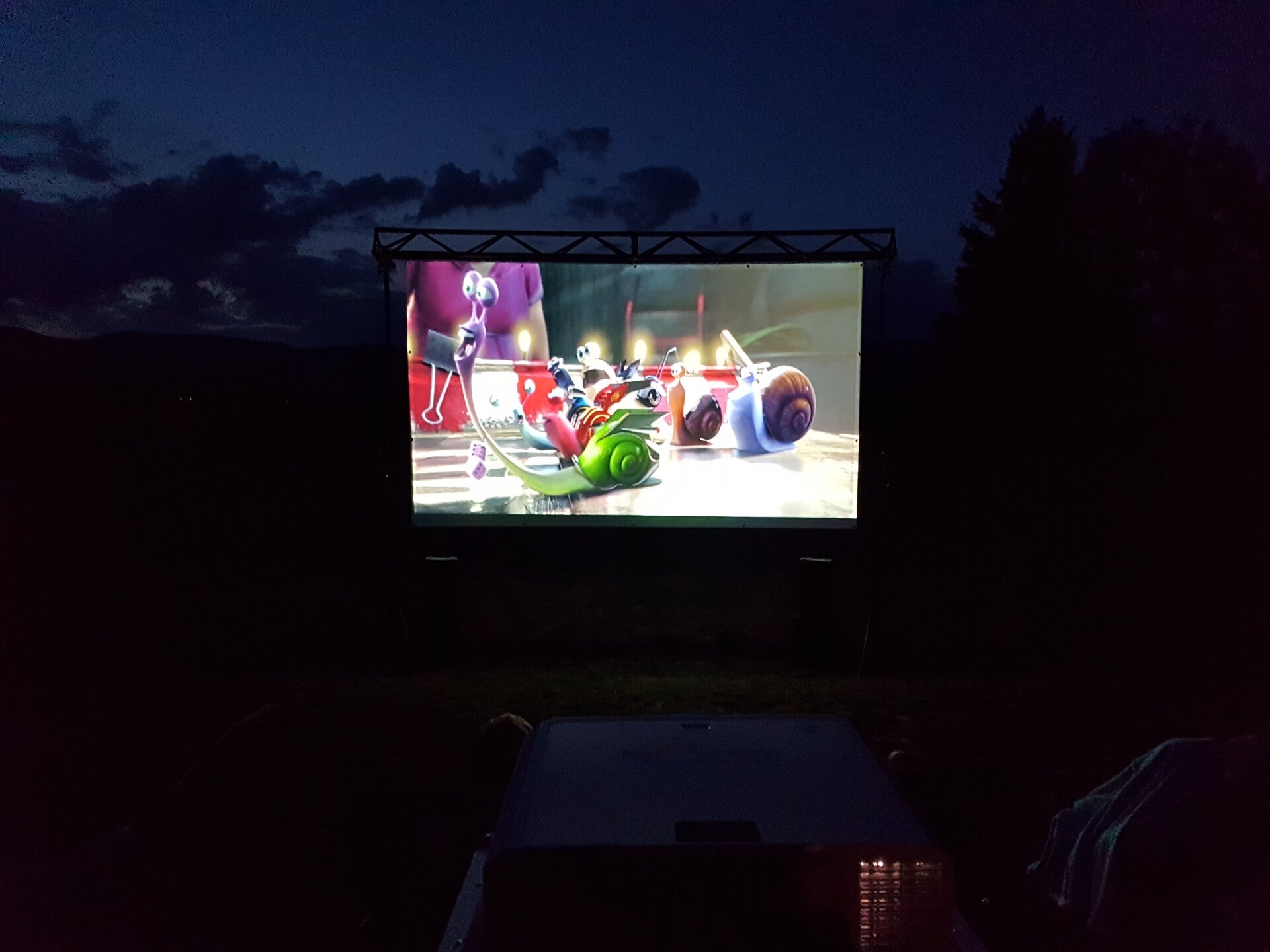 20190802_215012-standard.jpg