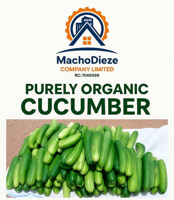 Organic cucumber