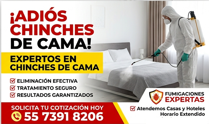 fumigaciones profesionales en Palo Solo económicas y rápidas fumigación residencial en Palo Solo con garantía servicio de fumigaciones en Palo Solo confiable control de plagas en Palo Solo efectivo fumigaciones para casas en Palo Solo seguras fumigación d
