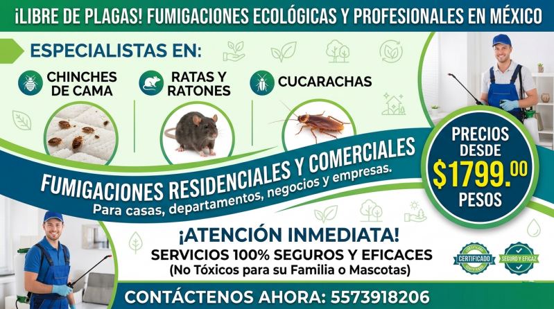 Fumigación de hormigas CDMX ★ Fumigación de hormigas Estado de México ★ Control de hormigas profesional ★ Eliminar plaga de hormigas ★ Servicio de fumigación de hormigas ★ Empresa de fumigación de hormigas ★ Fumigación de hormigas para casas ★ Fumigación 