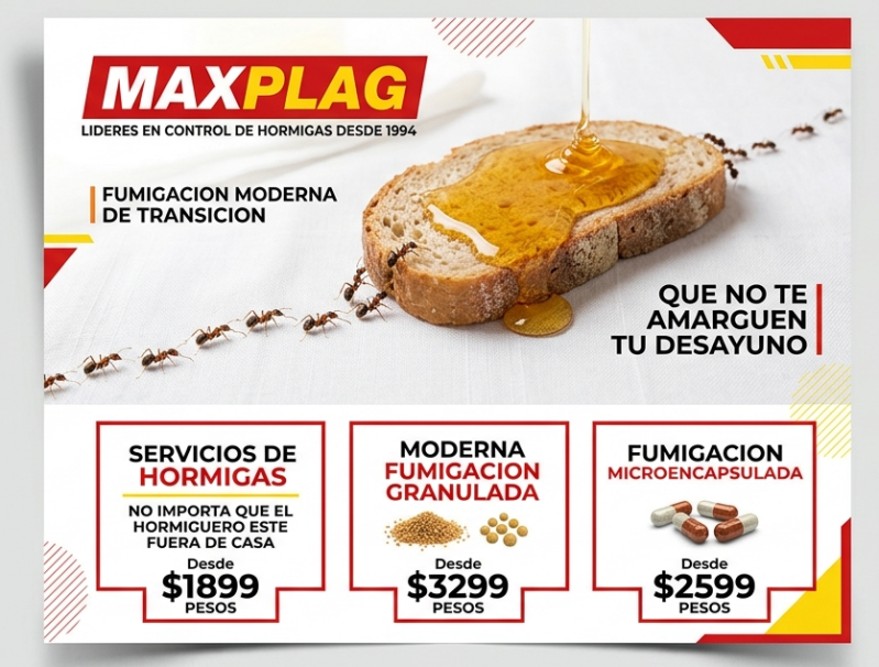 Fumigación de hormigas CDMX ★ Fumigación de hormigas Estado de México ★ Control de hormigas profesional ★ Eliminar plaga de hormigas ★ Servicio de fumigación de hormigas ★ Empresa de fumigación de hormigas ★ Fumigación de hormigas para casas ★ Fumigación 
