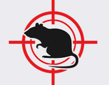 fumigacion-de-ratas-standard.png
