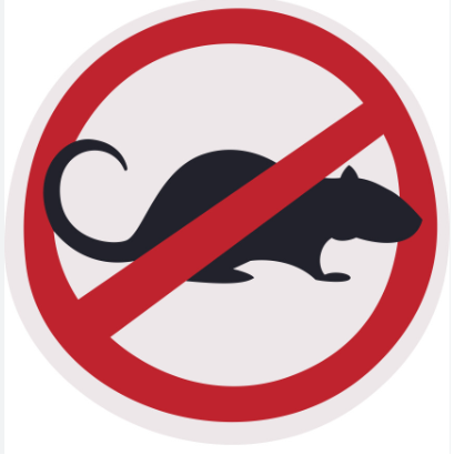 Exterminador de Ratones a domicilio las 24 Horas