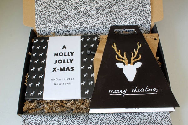 Brievenbuscadeau 'Holly Jolly x-mas'