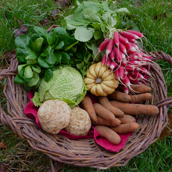 Panier légumes de saison