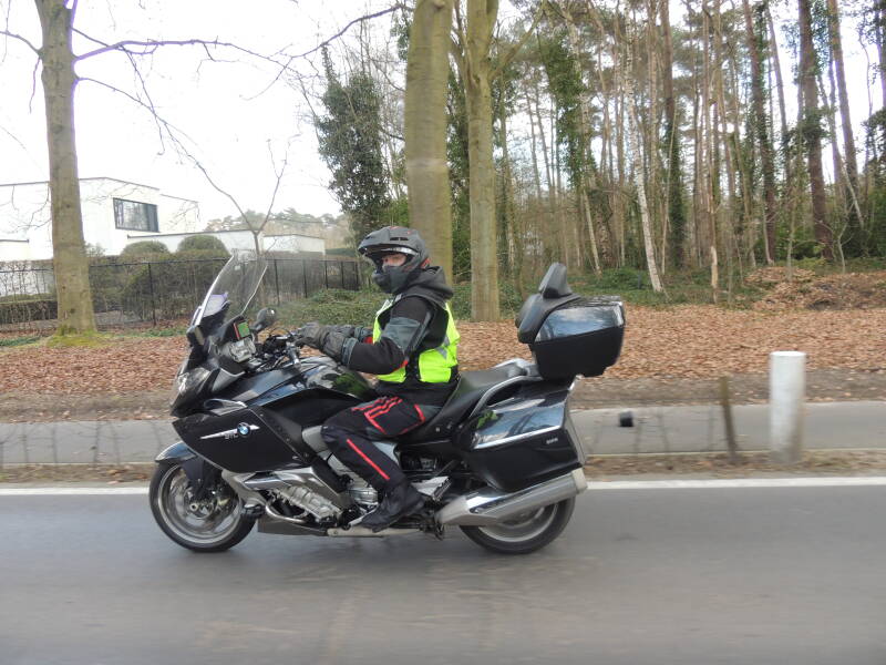 critter-standard-xy392m.jpg