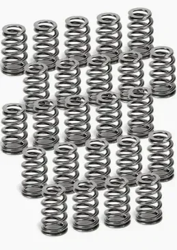 Supertech Valve Spring Set BMW M50/52/54 / S50/52