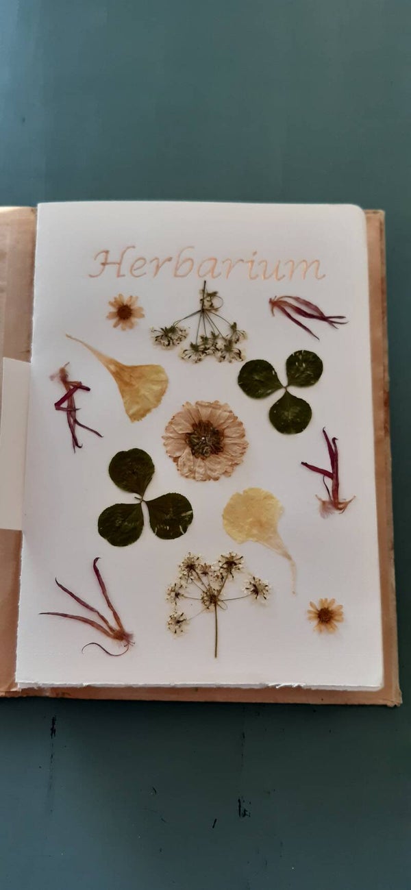 Workshop Herbarium / Natuurdagboek