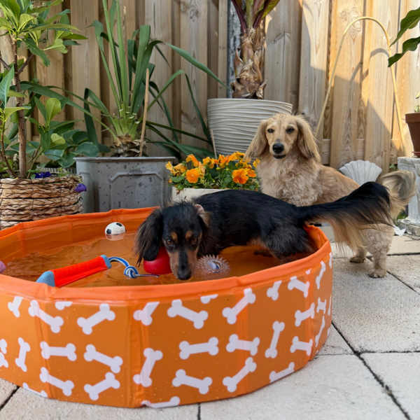 Swim Essentials - honden zwembad beige botjes Ø 80 cm