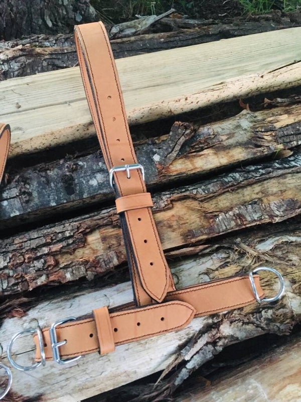 Licol de soin veau réversible