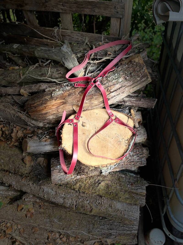 Harnais bas du corps/attache menottes