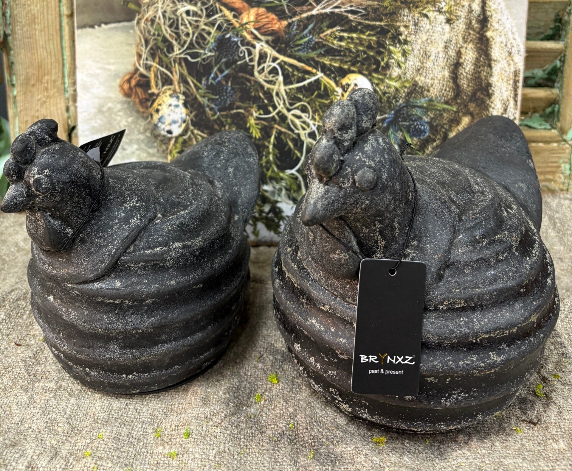 Set of 2 Chicken Relief Basalt