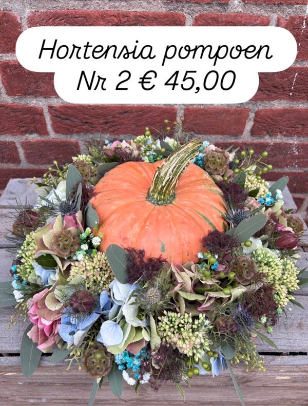 Diy Hortensia Pompoem