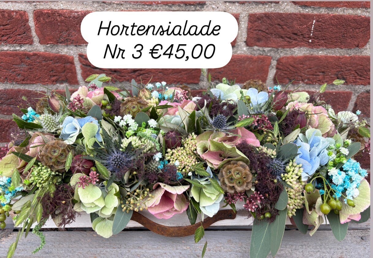 Dinsdagavond  22 sept Hortensia workshop 19.00/21.30