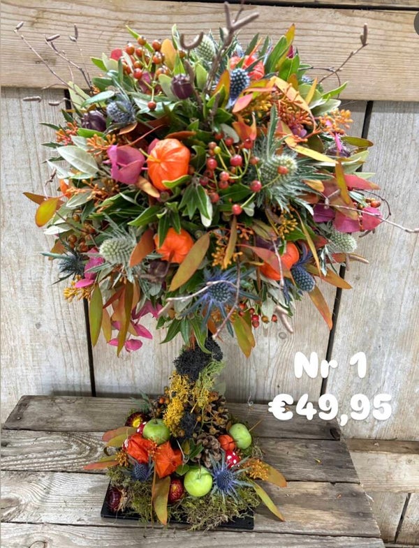 DIY pakket herfstboom