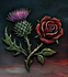 The Thistle &amp; The Rose