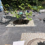 IMG-20201116-WA0025.jpg