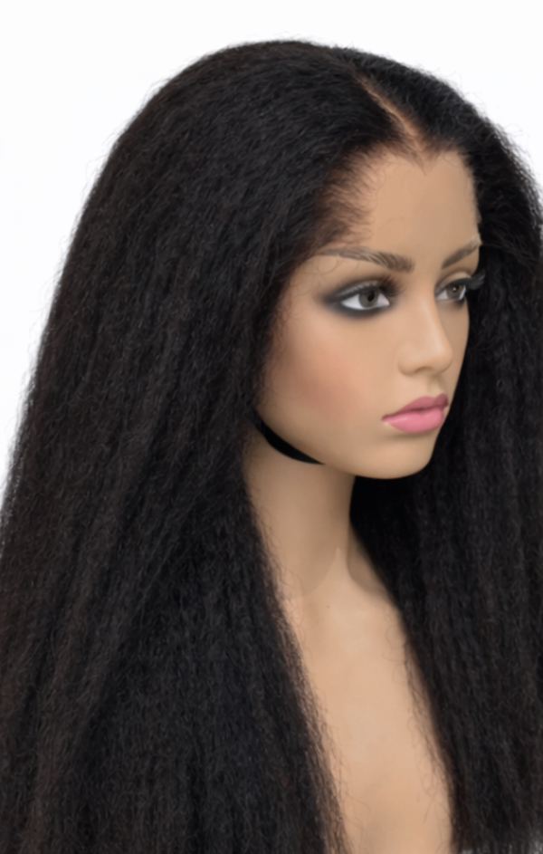 Mica Ombre Lagos Hairline Wig