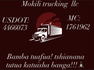 Mokili trucking llc.com