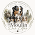 Elevage Familial Berger Australien Du Moulin Des Elfes