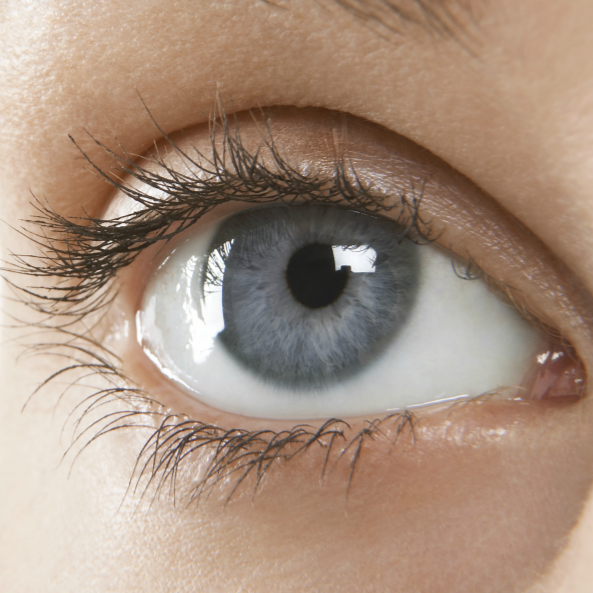 crème contour yeux aloe vera lr health beauty