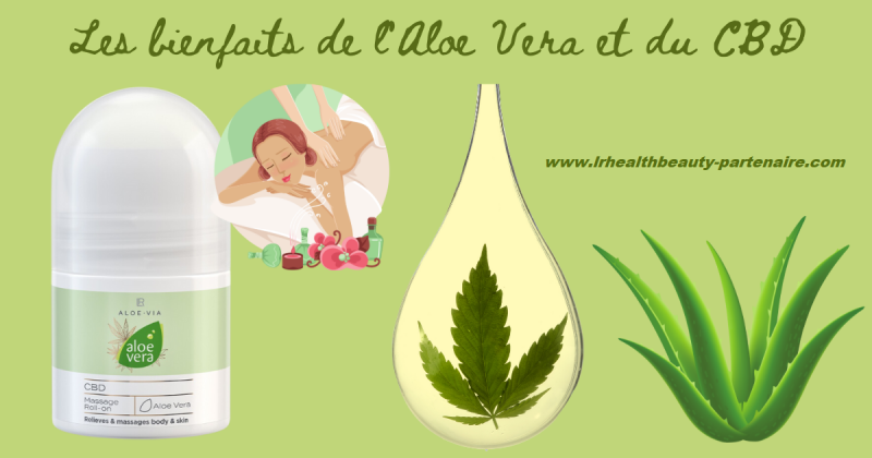roll-on de massage aloe vera cbd lr