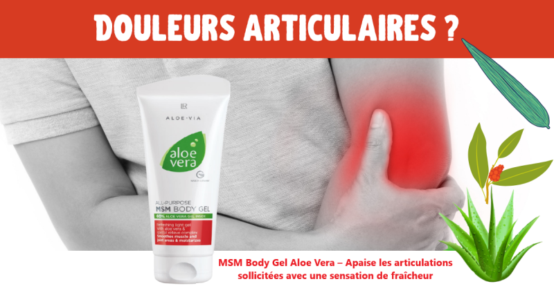 msm body gel lr health beauty