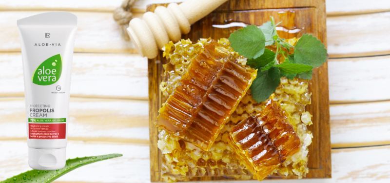 Crème propolis aloe vera LR